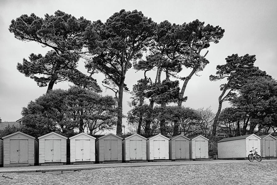 Beach Huts and Trees  #1 Photograph by Shirley Mitchell