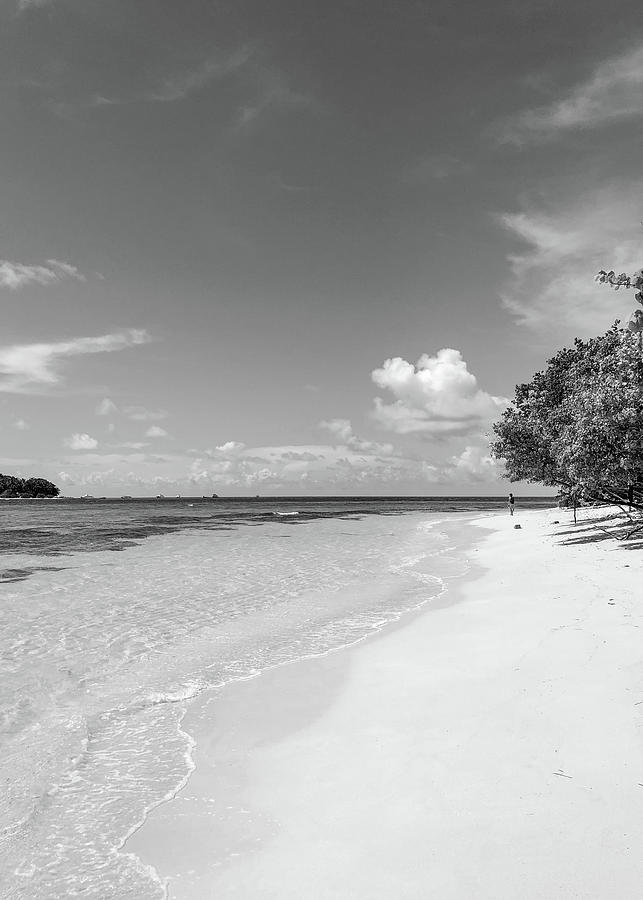 Beach In Black And White #1 Photograph by Photo Hunter