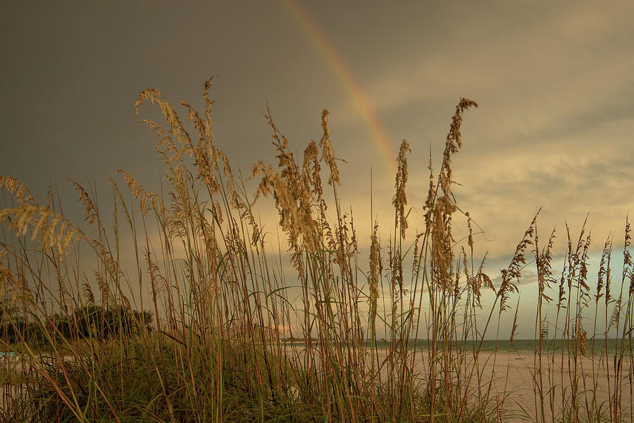 Beach Rainbow Photograph by Carolyn Hutchins