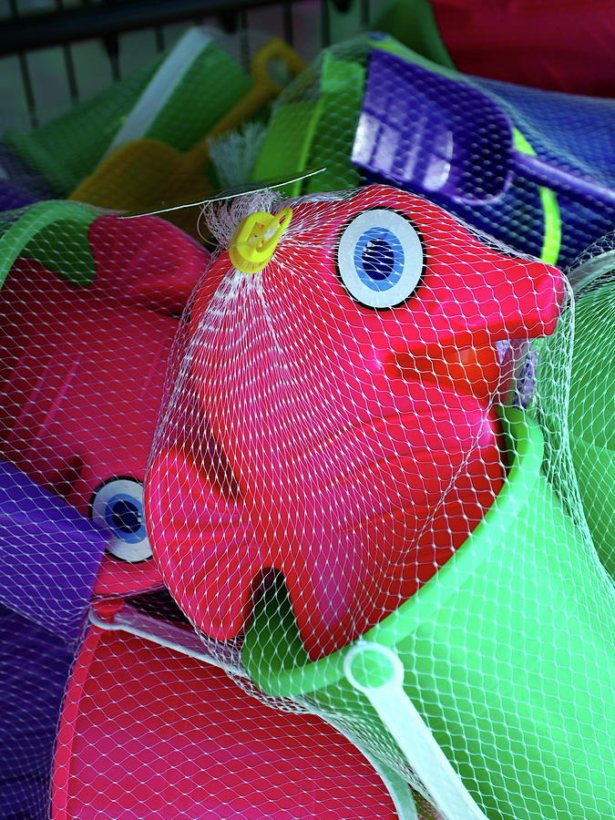 Beach Toys, Wings Gift Shop, Hyannis MA Photograph by Thomas Henthorn