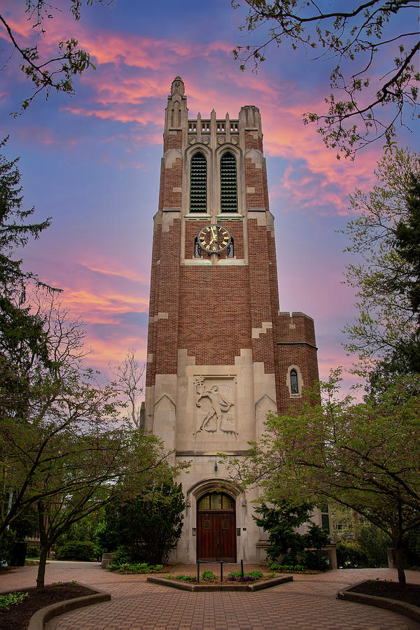 Beaumont Memorial Tower 1 by Gej Jones