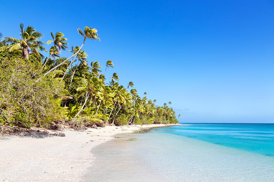 Beautiful exotic sandy beach with palm trees, Fiji #1 Photograph by Matteo Colombo