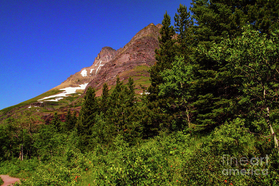 Beautiful Glacier National Park  #2 Photograph by Jeff Swan