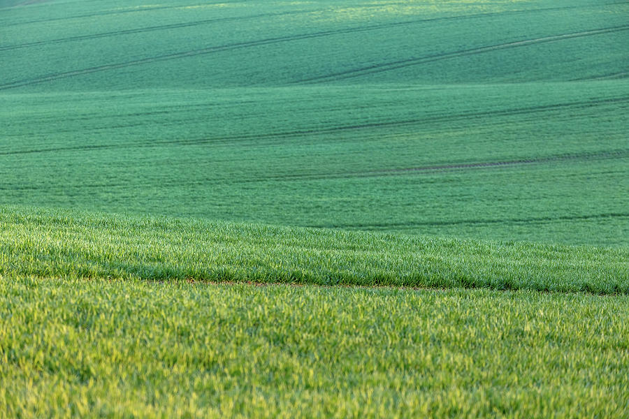 Beautiful green spring rural landscape Photograph by Artush Foto - Fine ...