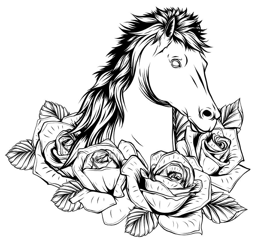 Beautiful horse with roses. Vector drawn illustration Digital Art by ...