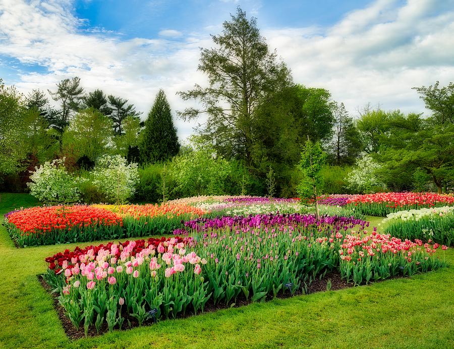 Flower Photograph - Beautiful Longwood Gardens #1 by Mountain Dreams