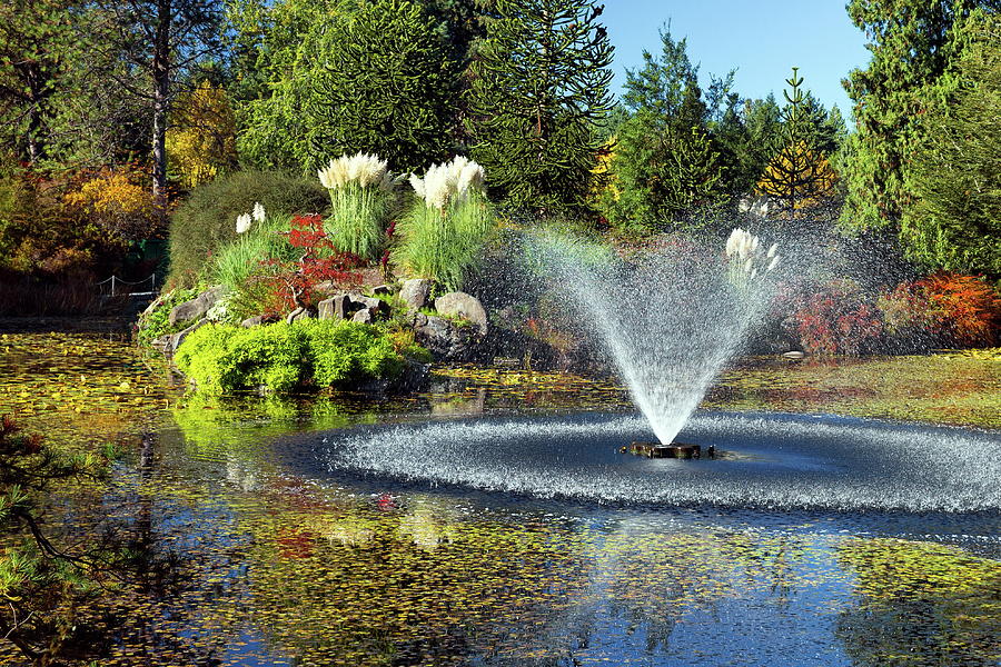 Beautiful pond with fountain  Photograph by Alex Lyubar