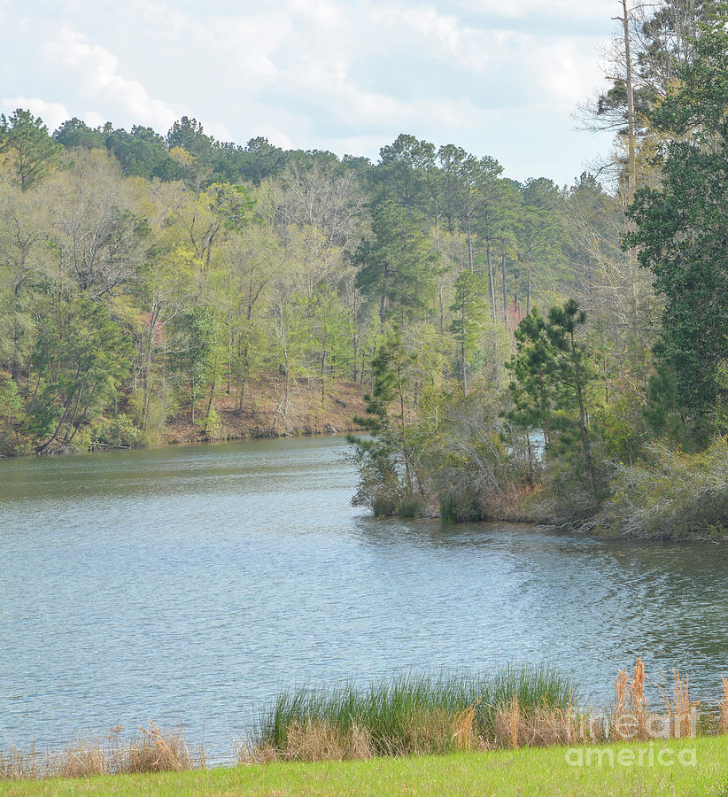 #4 View of Okhissa Lake Recreation Area in Homochitto National Forest ...