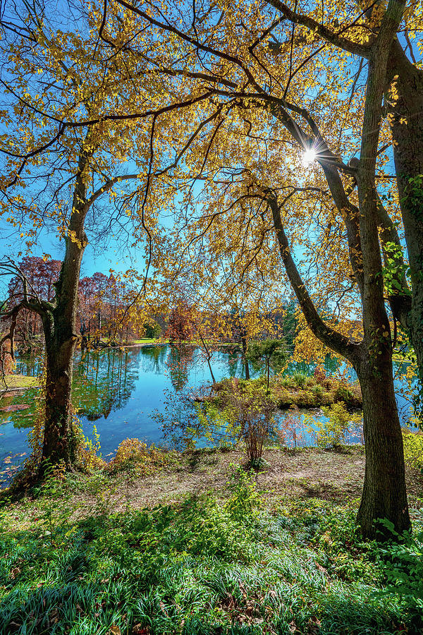 Beautiful View Overlooking A Lake At Spring Grove Cemetery Cincinnati Ohio Photograph by Dave Morgan