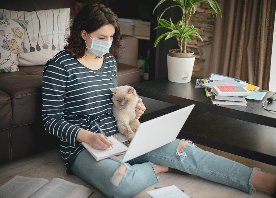 Beautiful young woman working at home with cat ( in the mask) #1 Photograph by Elenaleonova