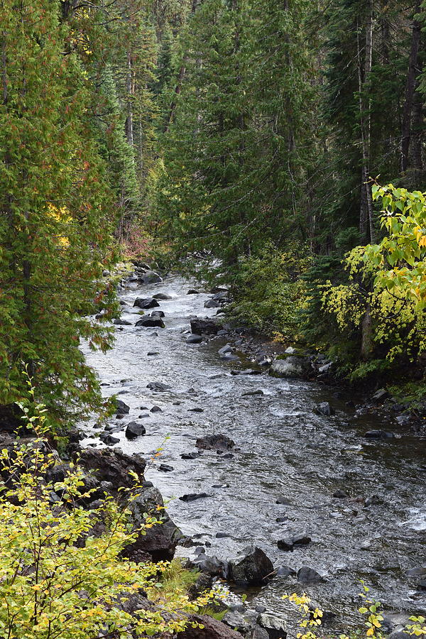 The of Autumn on the River Photograph by Lkb Art And