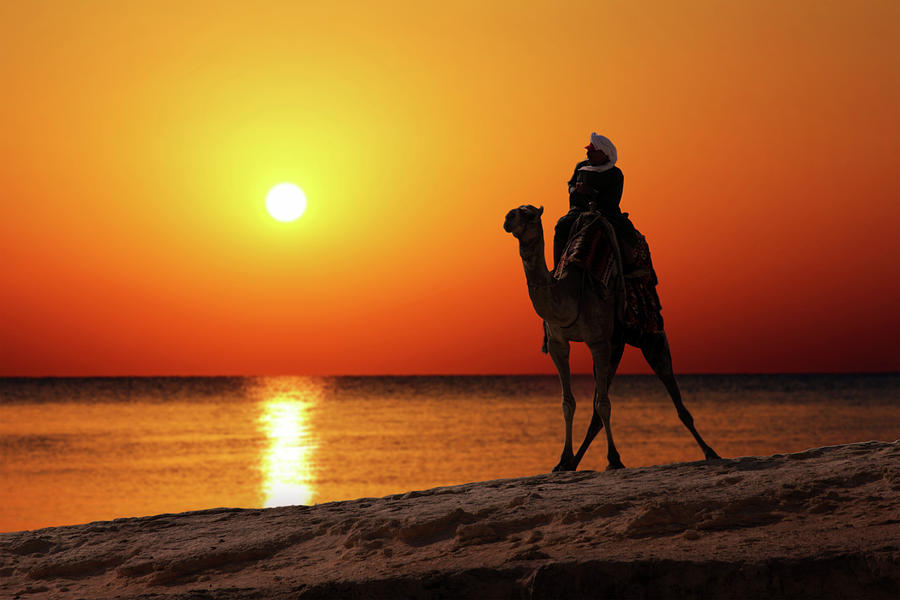 Bedouin On Camel Silhouette Against Sunrise #1 Photograph by Mikhail Kokhanchikov