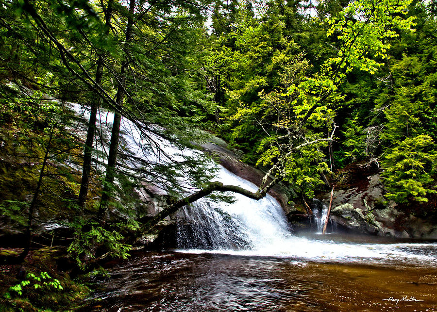 Beede Falls #1 Photograph by Harry Moulton