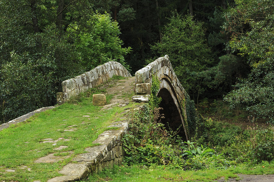 Beggars Bridge in Glaisdale, North Yorkshire #1 Photograph by Louise Heusinkveld