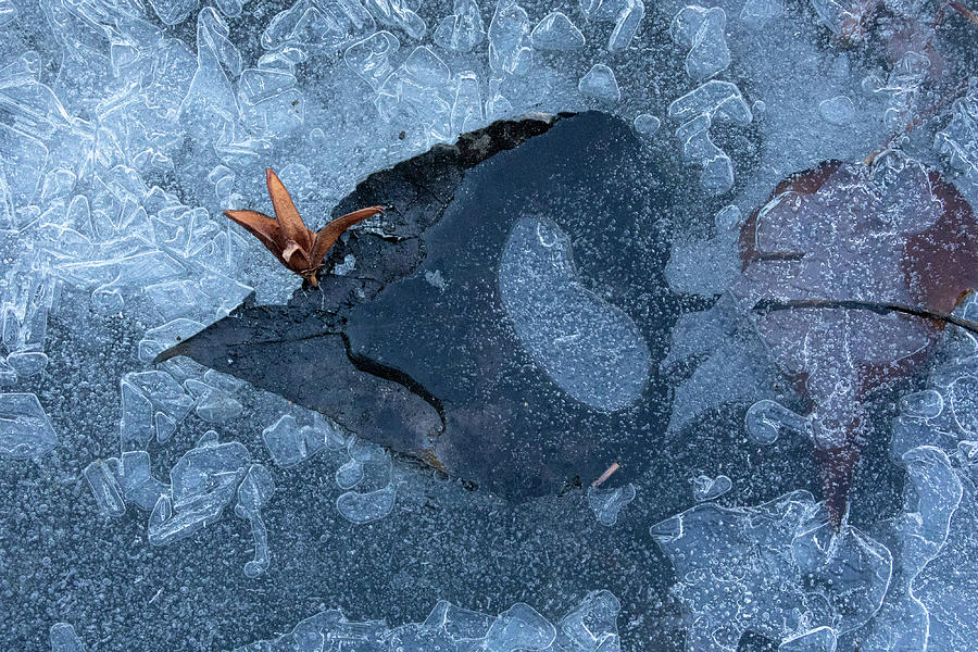 Background Photograph - Beneath by Paul Malen Background Photograph - Beneath by Paul Malen