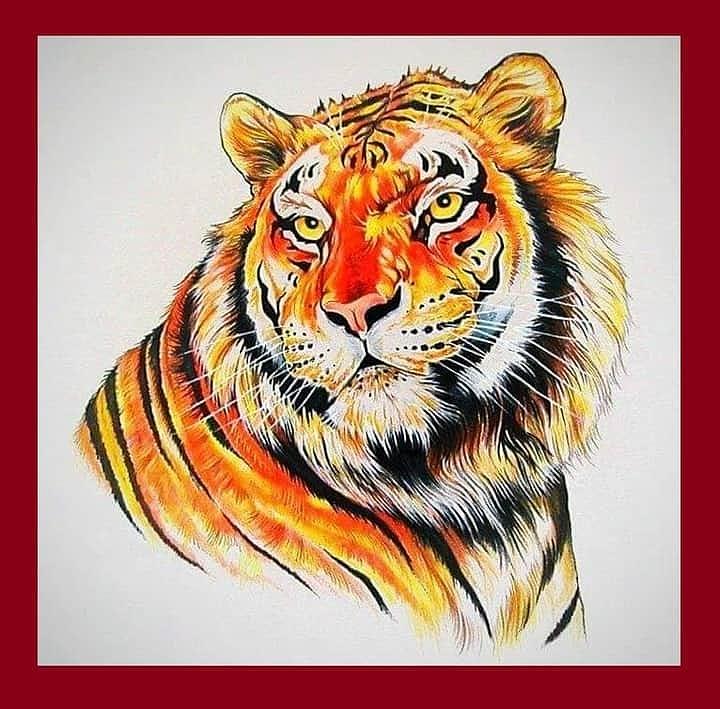 malayan tiger drawing