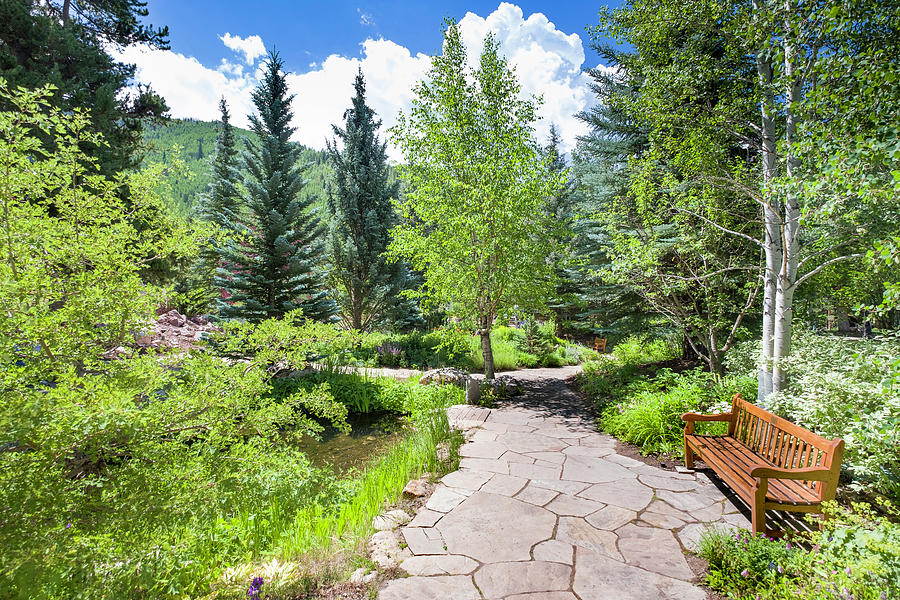 Betty Ford Alpine Gardens, Vail #1 Photograph by David L Moore