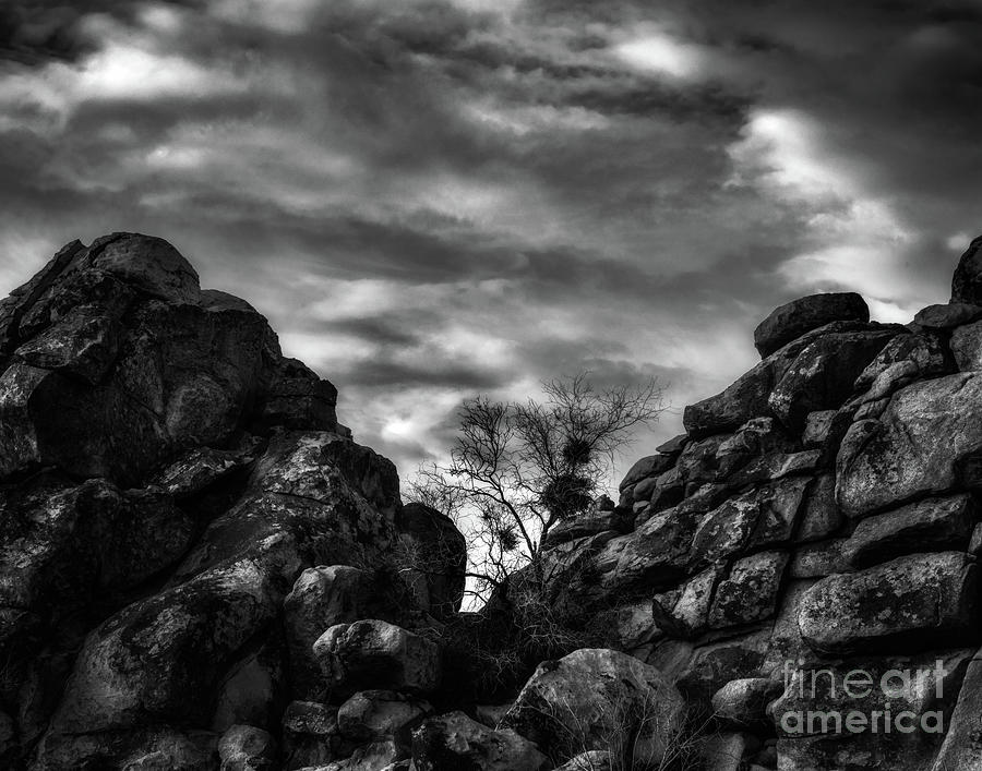 Between a rock and a hard place #2 Photograph by Izet Kapetanovic