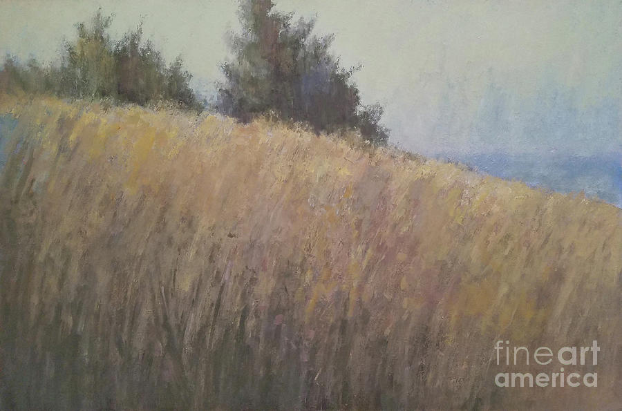 Beyond the Dune #2 Painting by Mary Hubley