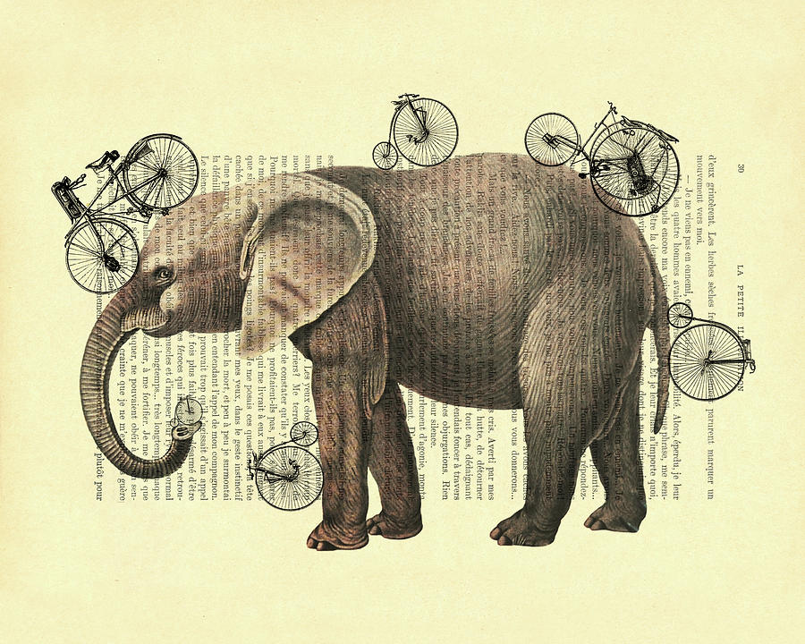 Wildlife Mixed Media - Bicycle Elephant #1 by Madame Memento