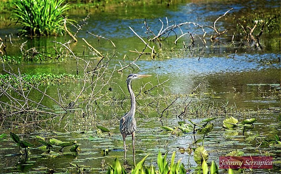 Big Blue Photograph by JOHN Serrapica - Fine Art America