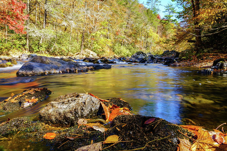 Big Laurel Creek in fall Photograph by Alexey Stiop
