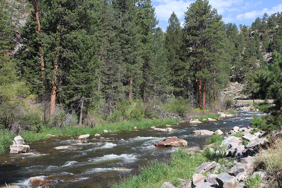 Big Thompson River, Colorado. Photograph by Shirley Blaine