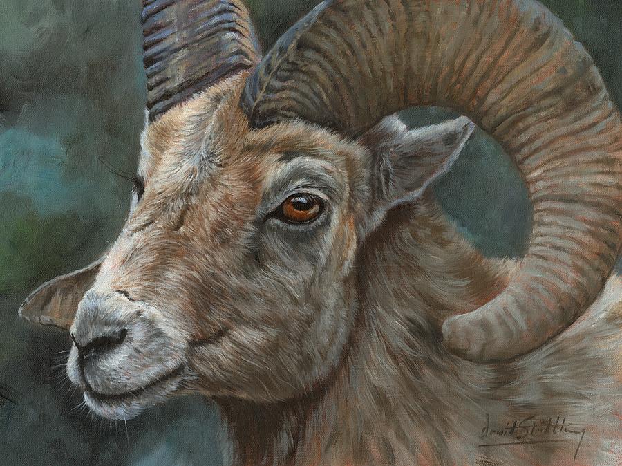 Sheep Painting - Bighorn Sheep #1 by David Stribbling