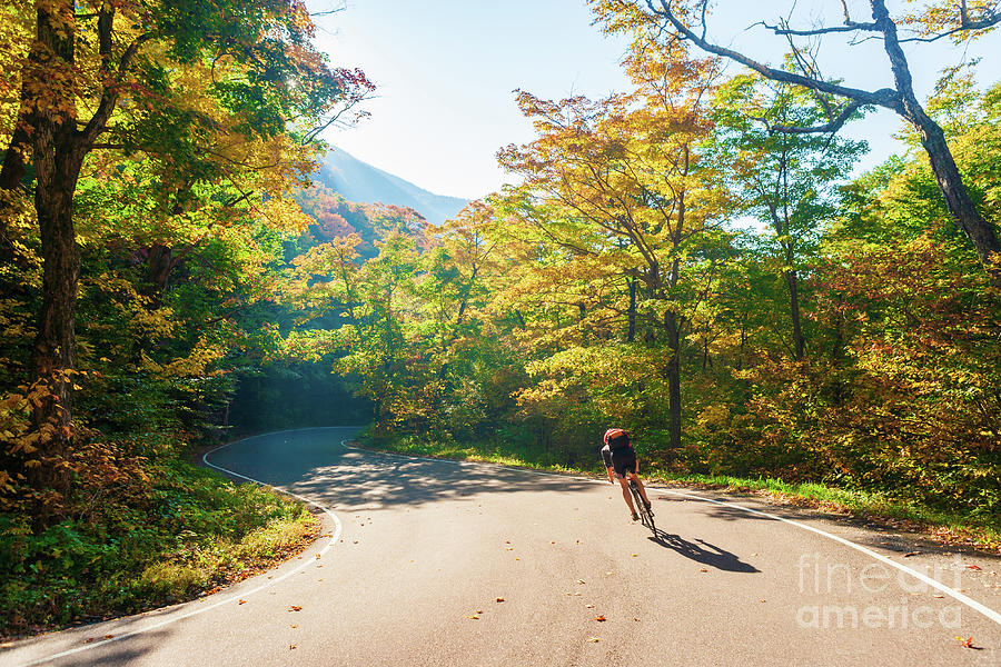 Biking down a S-Shaped country road on a colorful autumn day #1 Photograph by Don Landwehrle