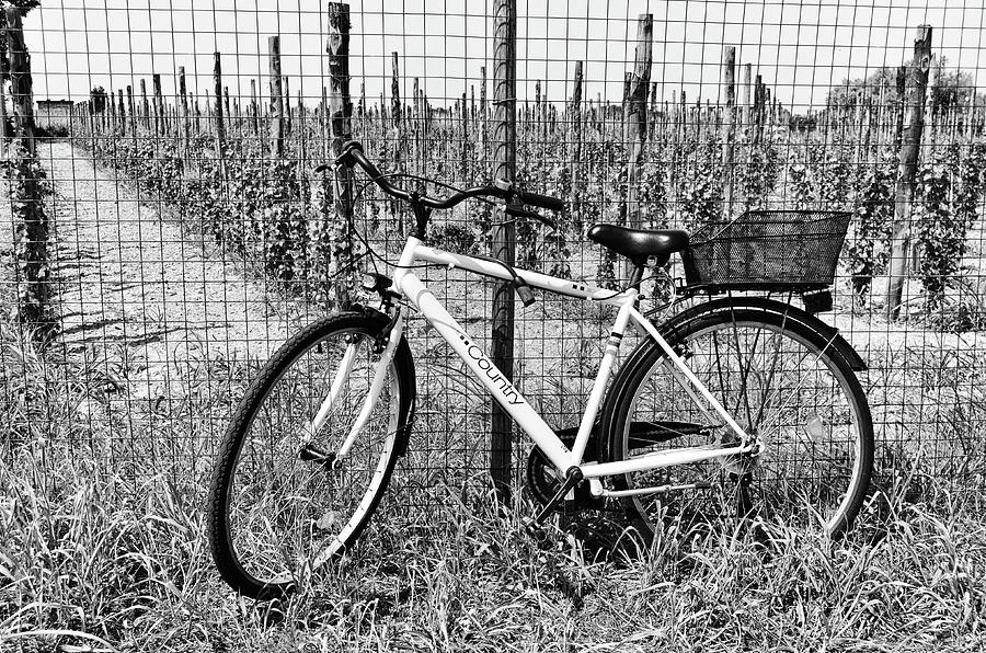 Biking the Vineyards of Venetian Island Burano Italy Black and White #1 Photograph by Shawn OBrien