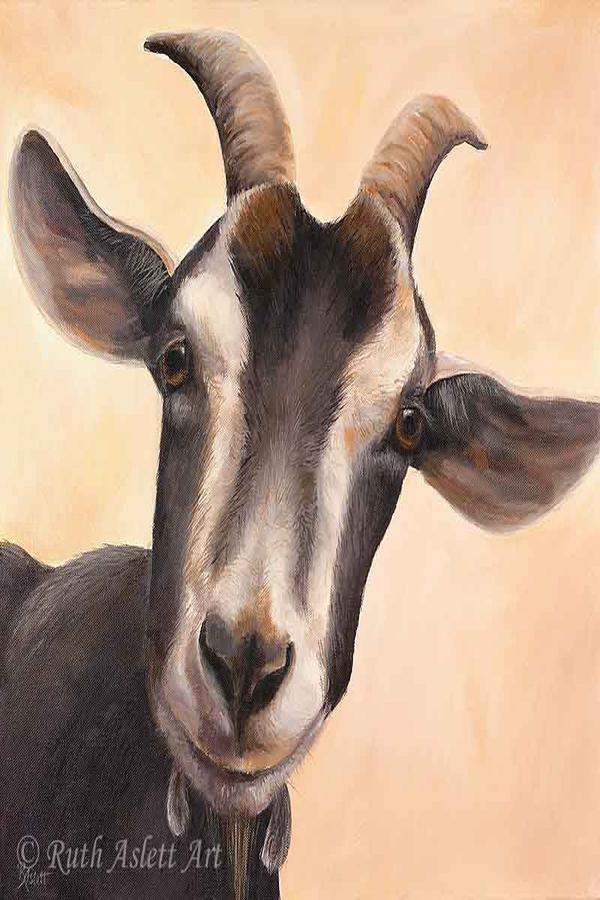 Billy Goat art Painting by Artful Home Gallery Art - Fine Art America