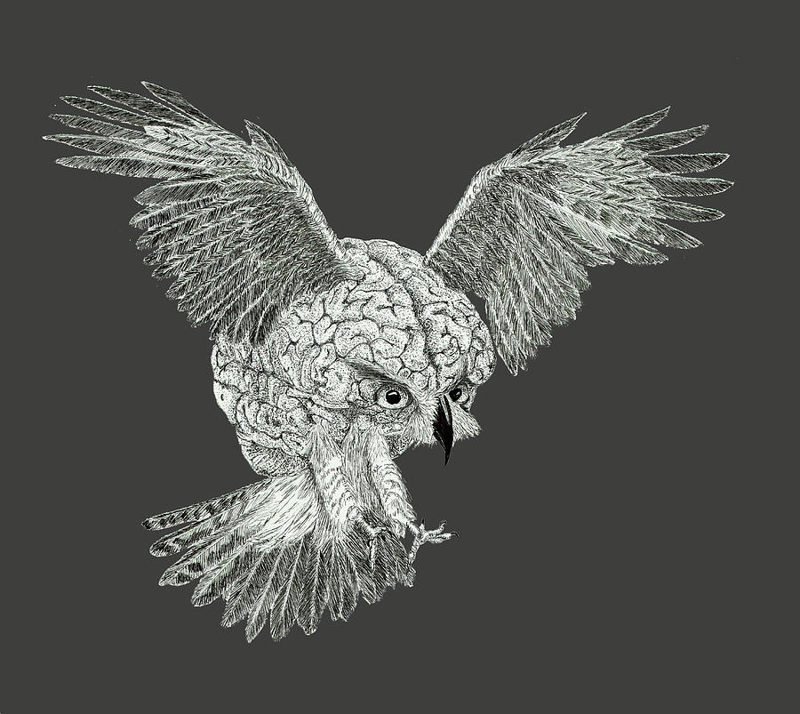 Bird Brain #1 Drawing by Jenny Armitage