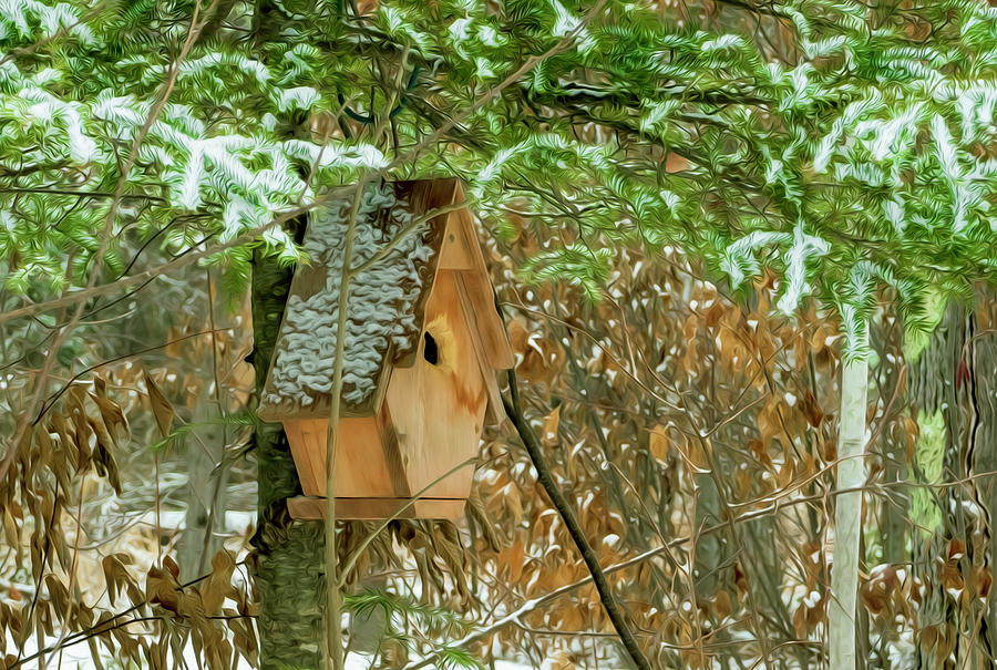 Bird House in Winter Forest #2 Photograph by Sandra Js