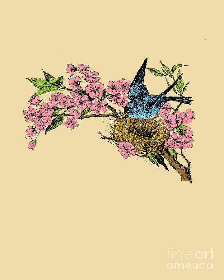 Flower Digital Art - Bird Nest #1 by Madame Memento