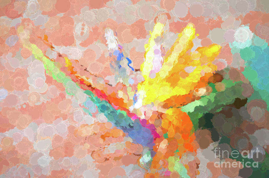 Abstract Photograph - Bird of Paradise Abstract #2 by Gary Richards