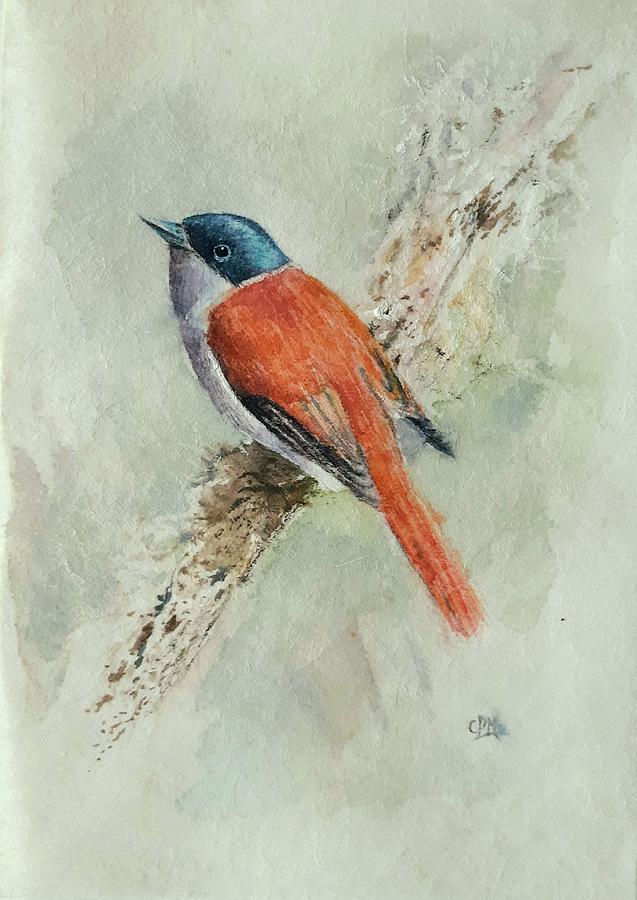 Bird on a branch Drawing by Carolina Prieto Moreno