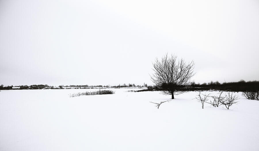 Black And White Landscape In Latvia  Photograph by Aleksandrs Drozdovs