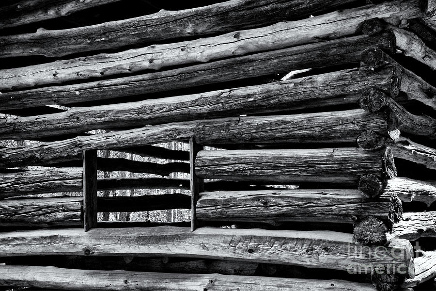 Black and White Cabin Digital Art by Phil Perkins