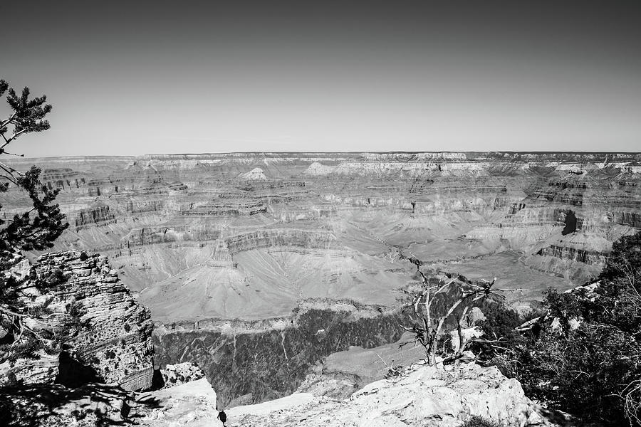 Black And White Canyon Photograph