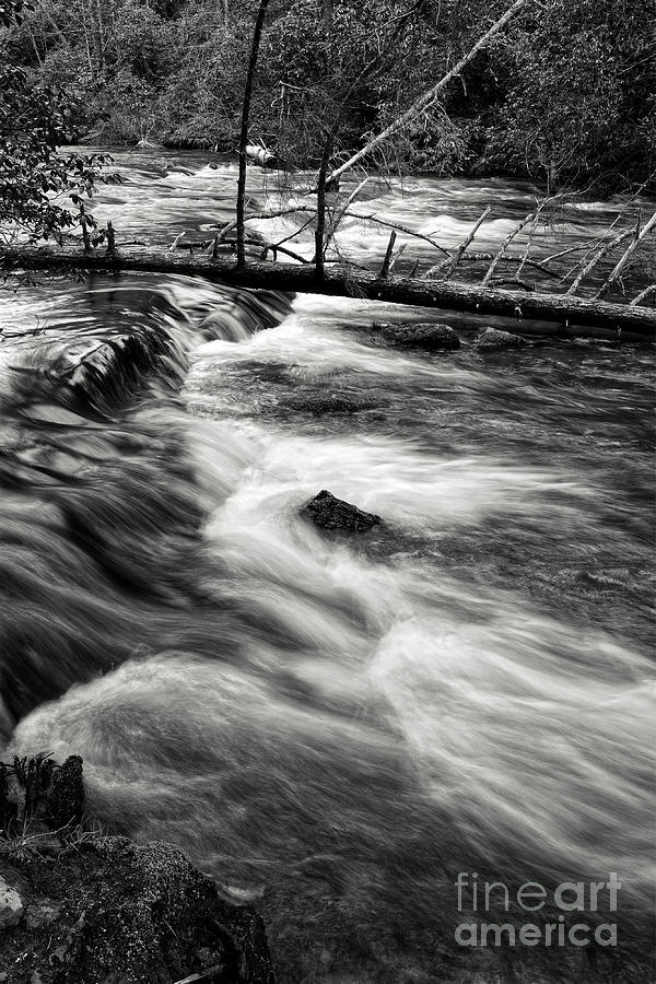 Black and White Cascades #1 Photograph by Phil Perkins