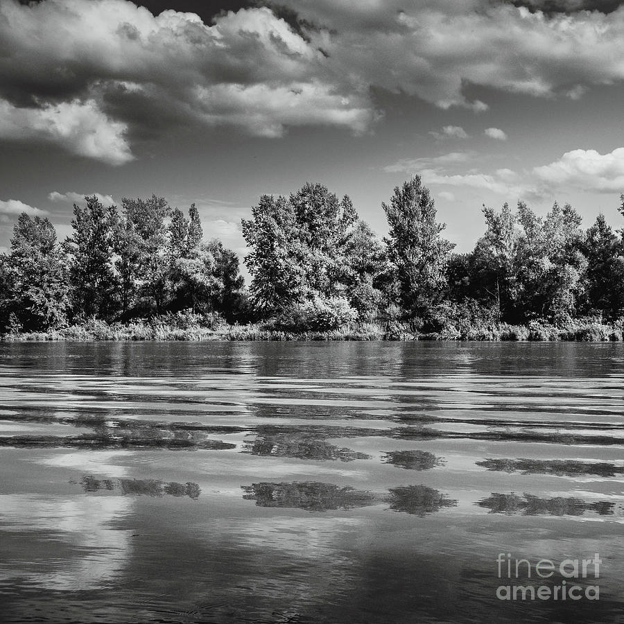 Black and white landscape photography Krakow, Przylasek Rusiecki #1 Photograph by Justyna Jaszke JBJart