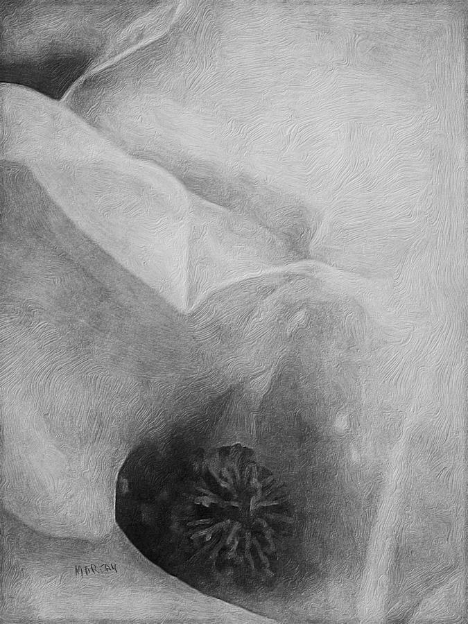 Black and White Magnolia  #1 Digital Art by Mariam Bazzi