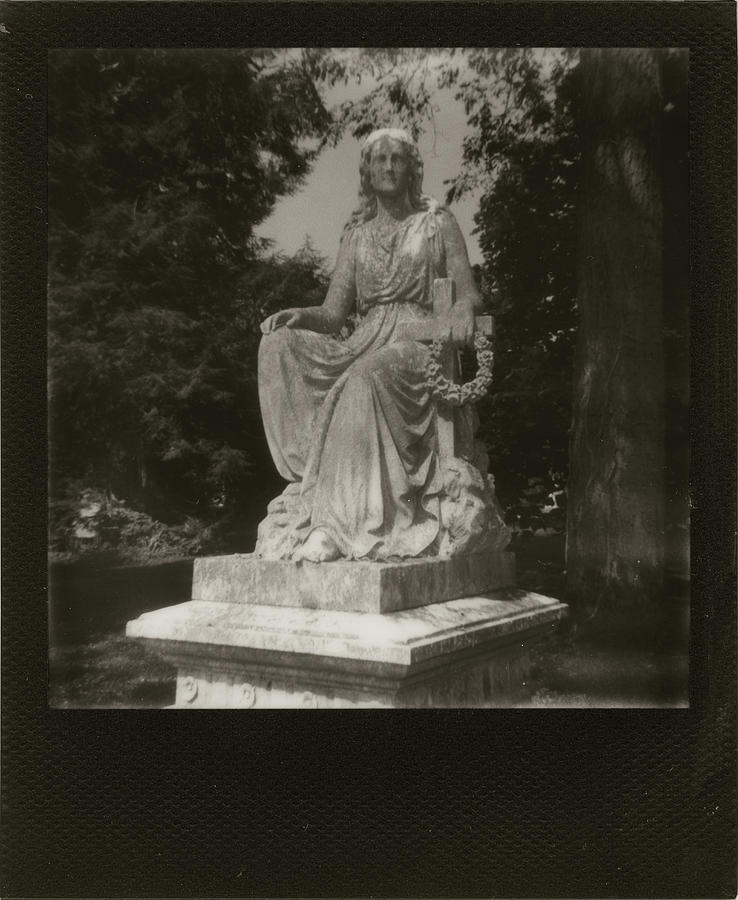  Black and White Polaroid 600 Spring Grove Cemetery Cincinnati Ohio  #1 Photograph by Dave Morgan
