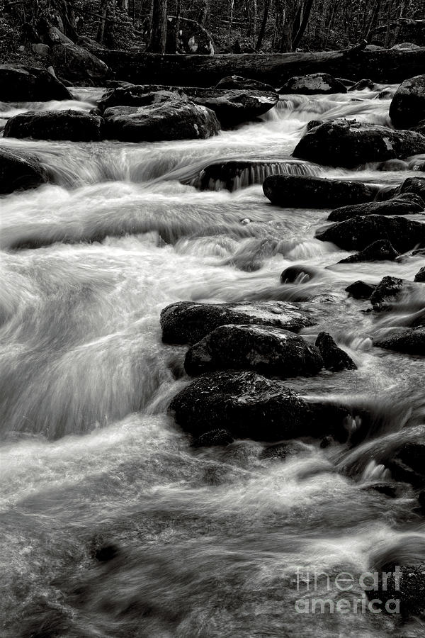 Black and White River 2 #1 Photograph by Phil Perkins