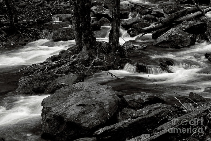Black and White River 3 #1 Photograph by Phil Perkins