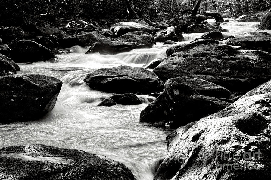Black and White River 4 #1 Photograph by Phil Perkins