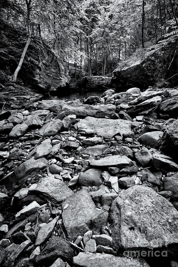 Black and White Rocks #1 Photograph by Phil Perkins