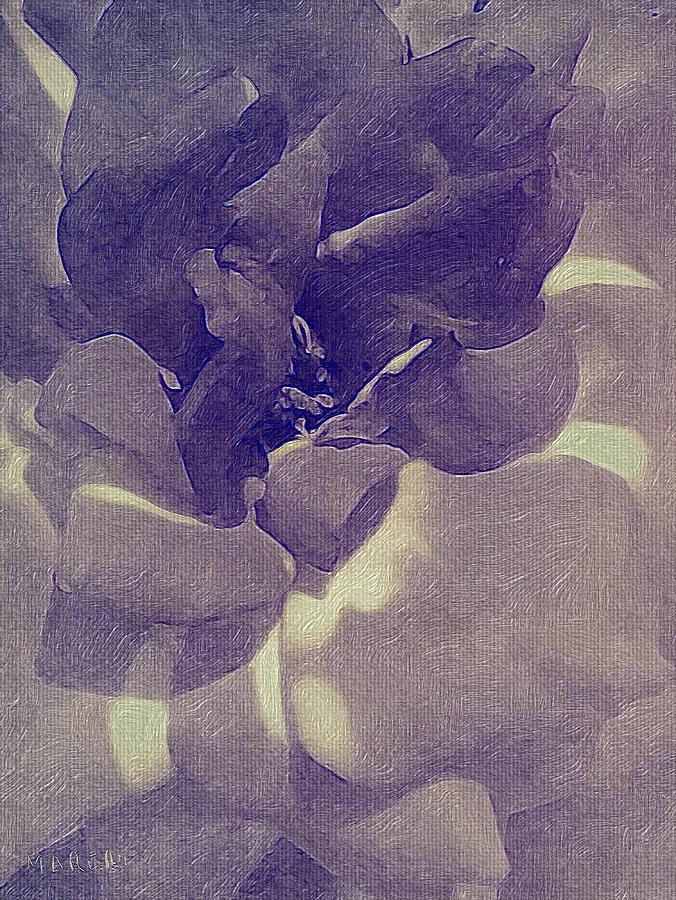 Black and white Rose  #1 Digital Art by Mariam Bazzi