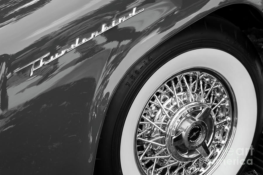 Black and White T-Bird #1 Photograph by Dennis Hedberg