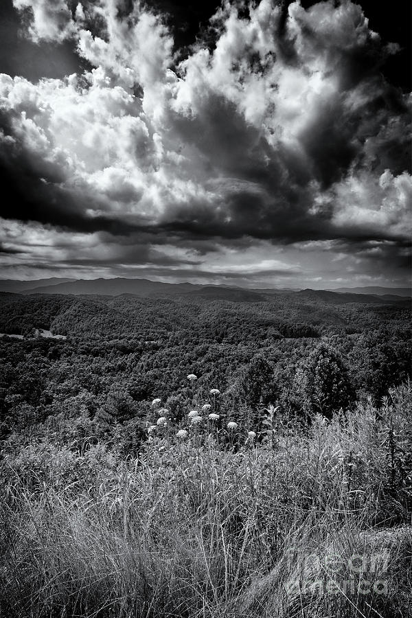 Black and White Vista #1 Photograph by Phil Perkins